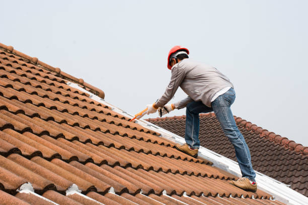 Best Metal Roofing Installation  in New Berlin, IL